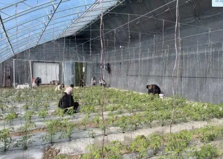 微信截图_20220119120039.png